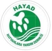 HAYAD