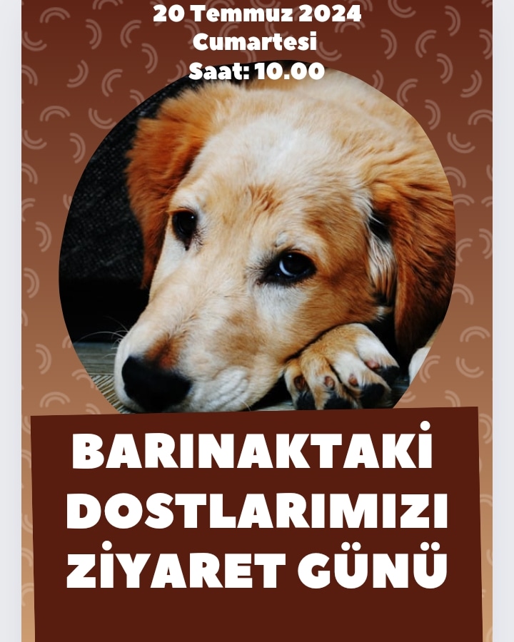 20 Temmuz 2024 Barınak Ziyareti